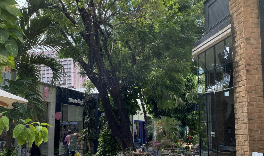 Shopping Jardins Open Mall, em Fortaleza