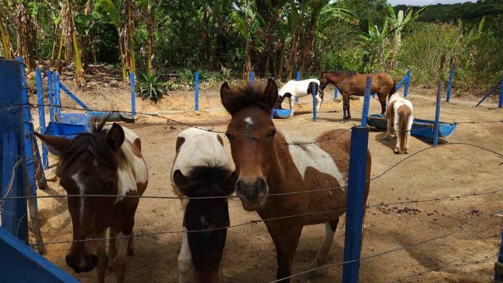 Portal das Montanhas, em Pacoti