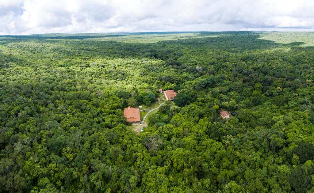 Foto: Fábio Arruda