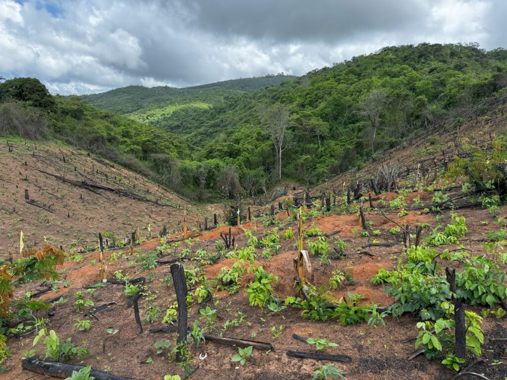 Foto: Samuel Portela